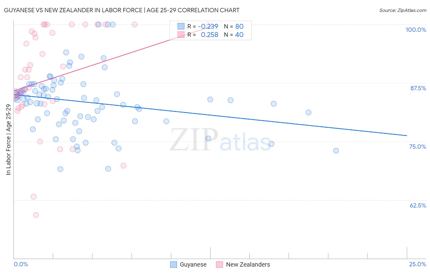 Guyanese vs New Zealander In Labor Force | Age 25-29