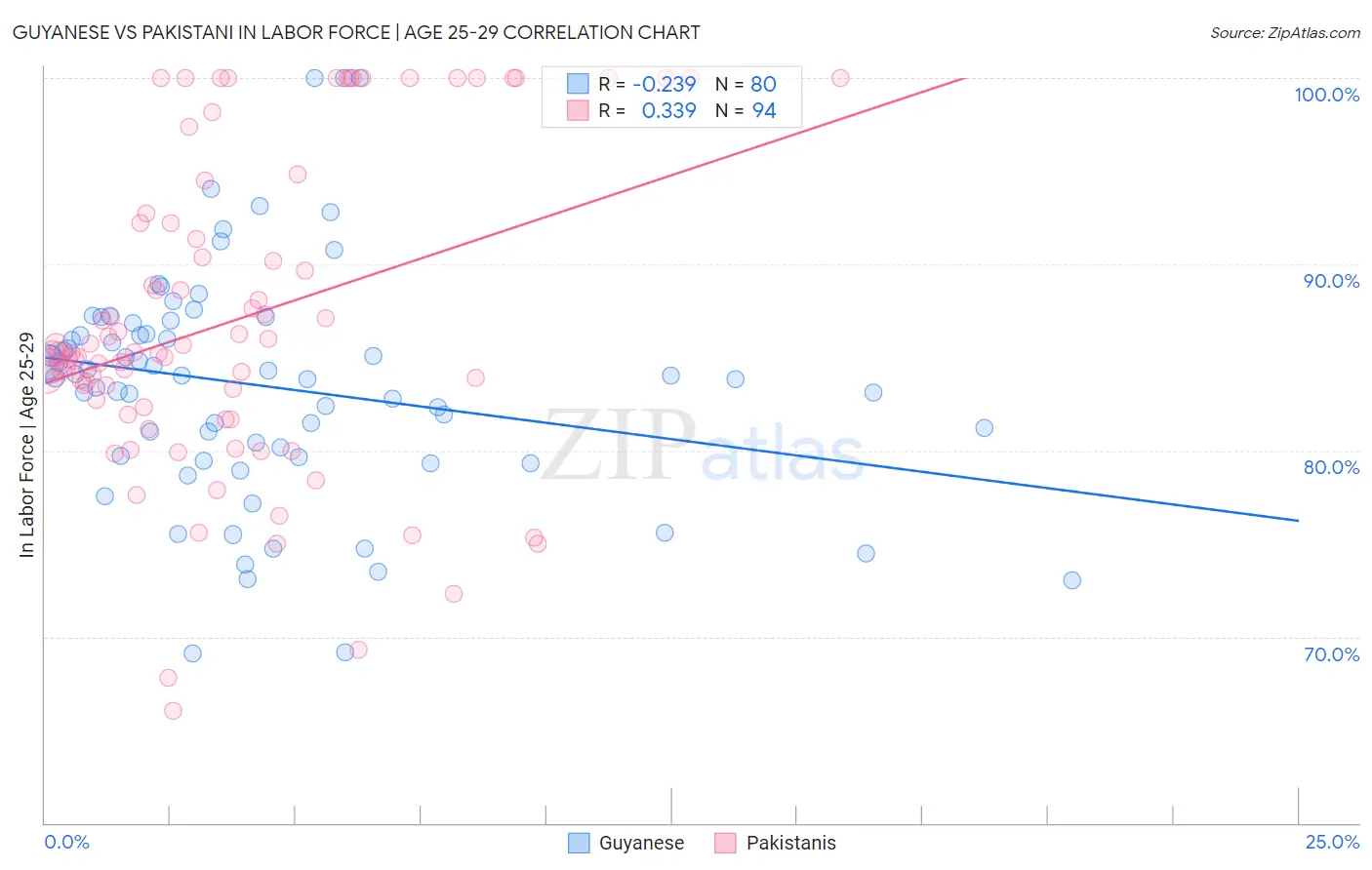 Guyanese vs Pakistani In Labor Force | Age 25-29