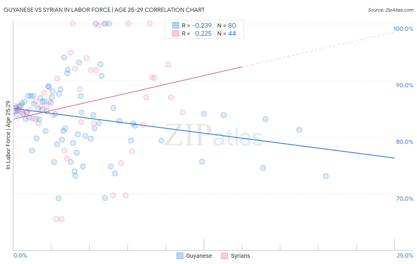 Guyanese vs Syrian In Labor Force | Age 25-29