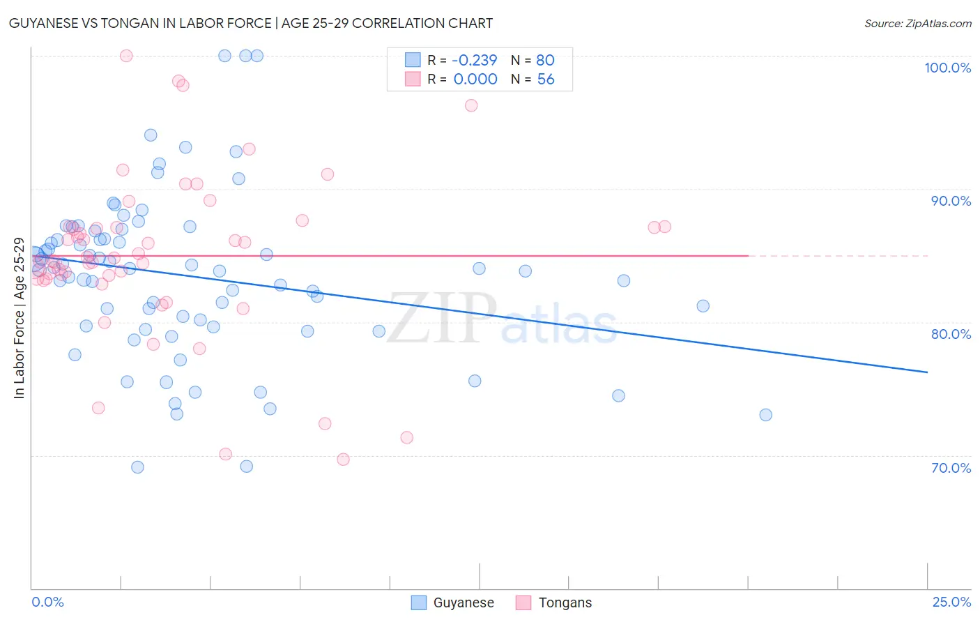 Guyanese vs Tongan In Labor Force | Age 25-29