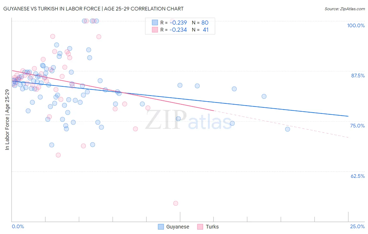 Guyanese vs Turkish In Labor Force | Age 25-29