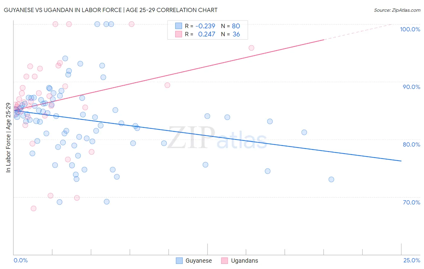 Guyanese vs Ugandan In Labor Force | Age 25-29