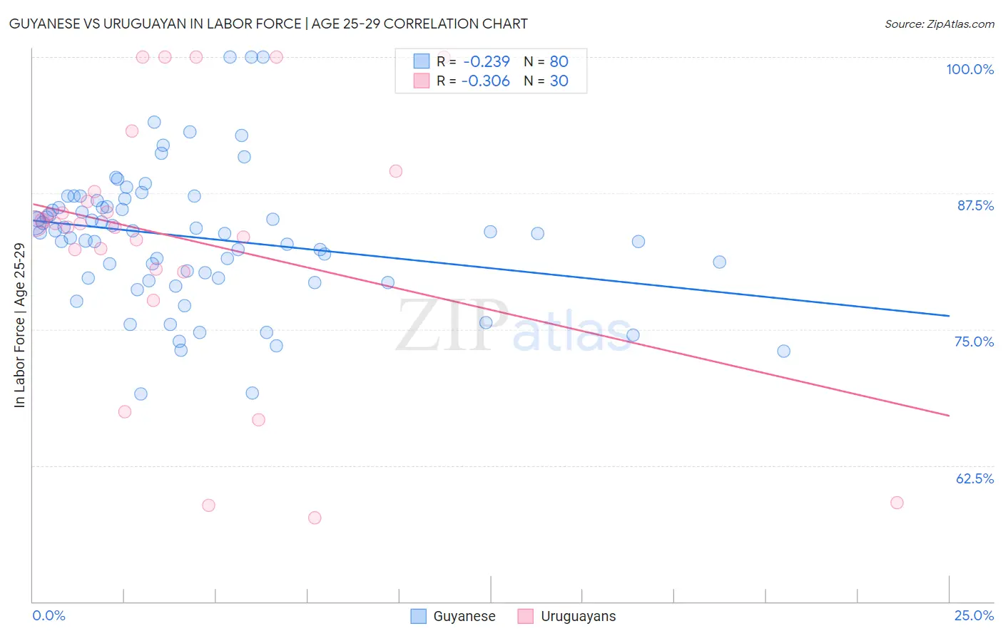 Guyanese vs Uruguayan In Labor Force | Age 25-29