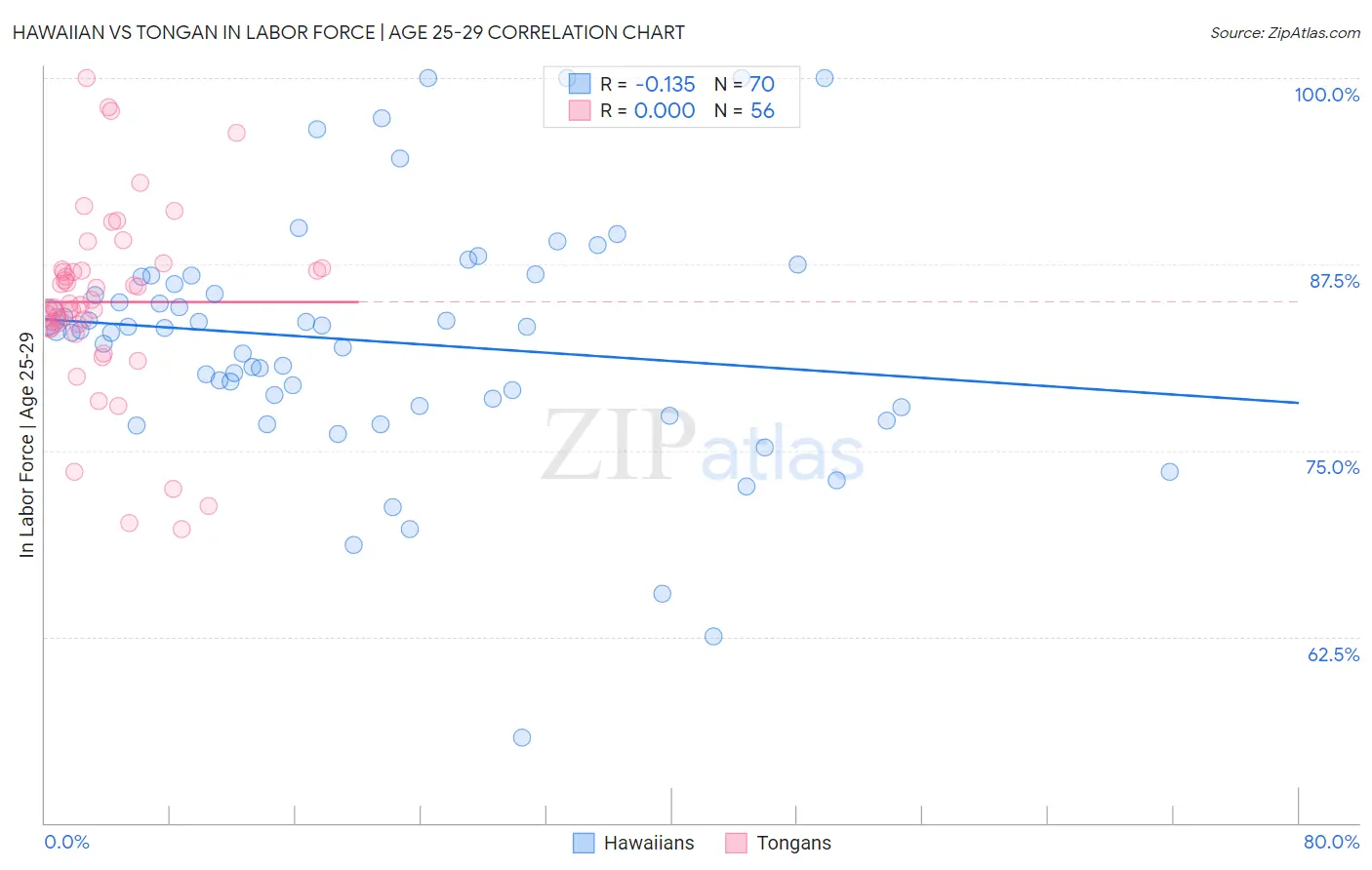 Hawaiian vs Tongan In Labor Force | Age 25-29