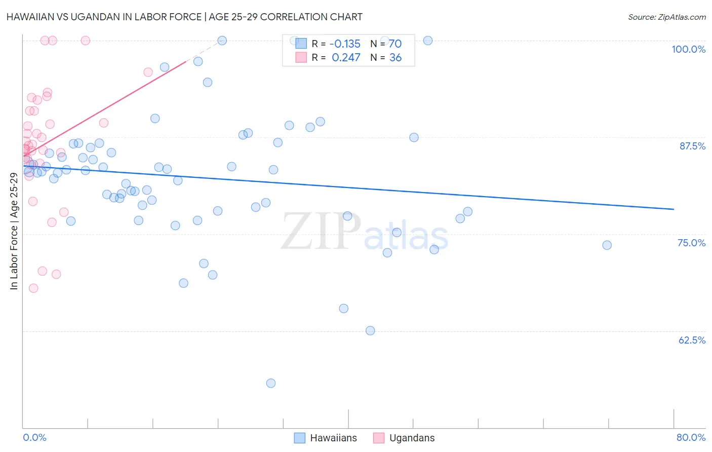 Hawaiian vs Ugandan In Labor Force | Age 25-29