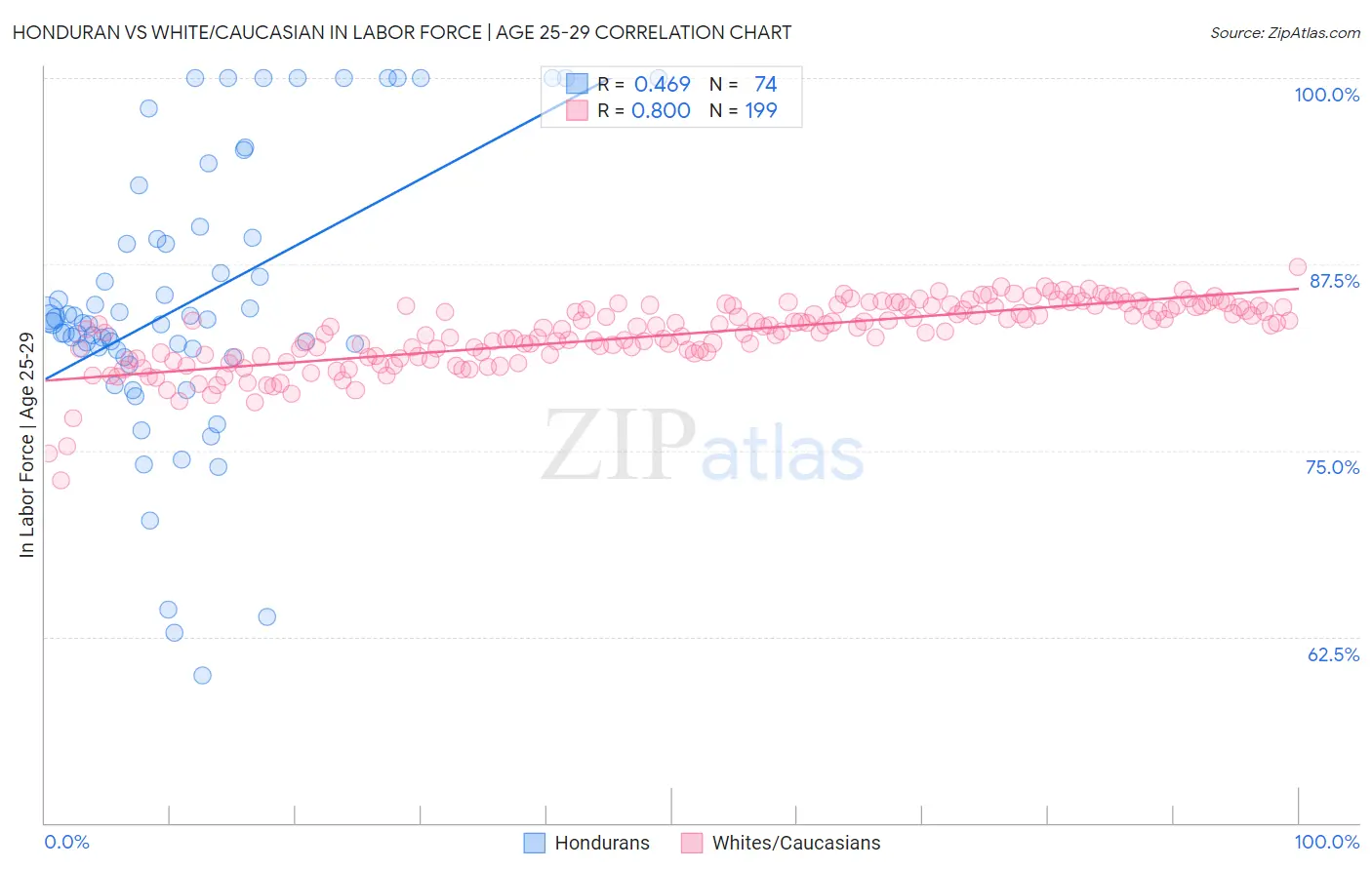 Honduran vs White/Caucasian In Labor Force | Age 25-29