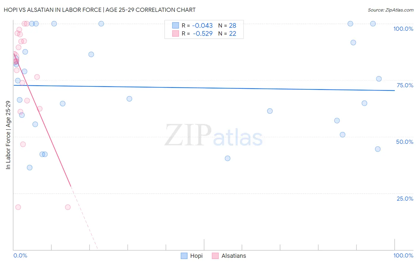 Hopi vs Alsatian In Labor Force | Age 25-29