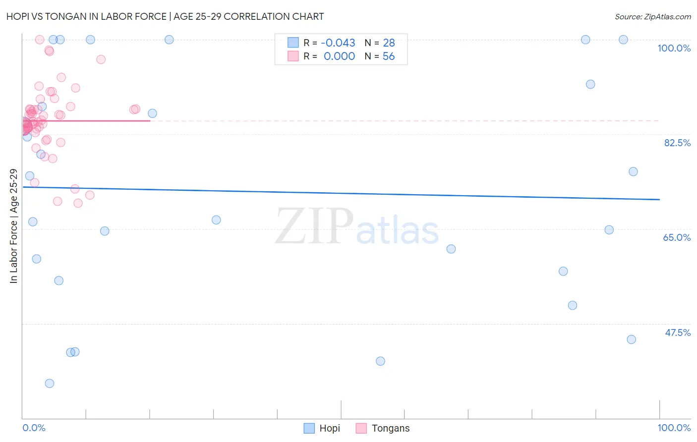 Hopi vs Tongan In Labor Force | Age 25-29