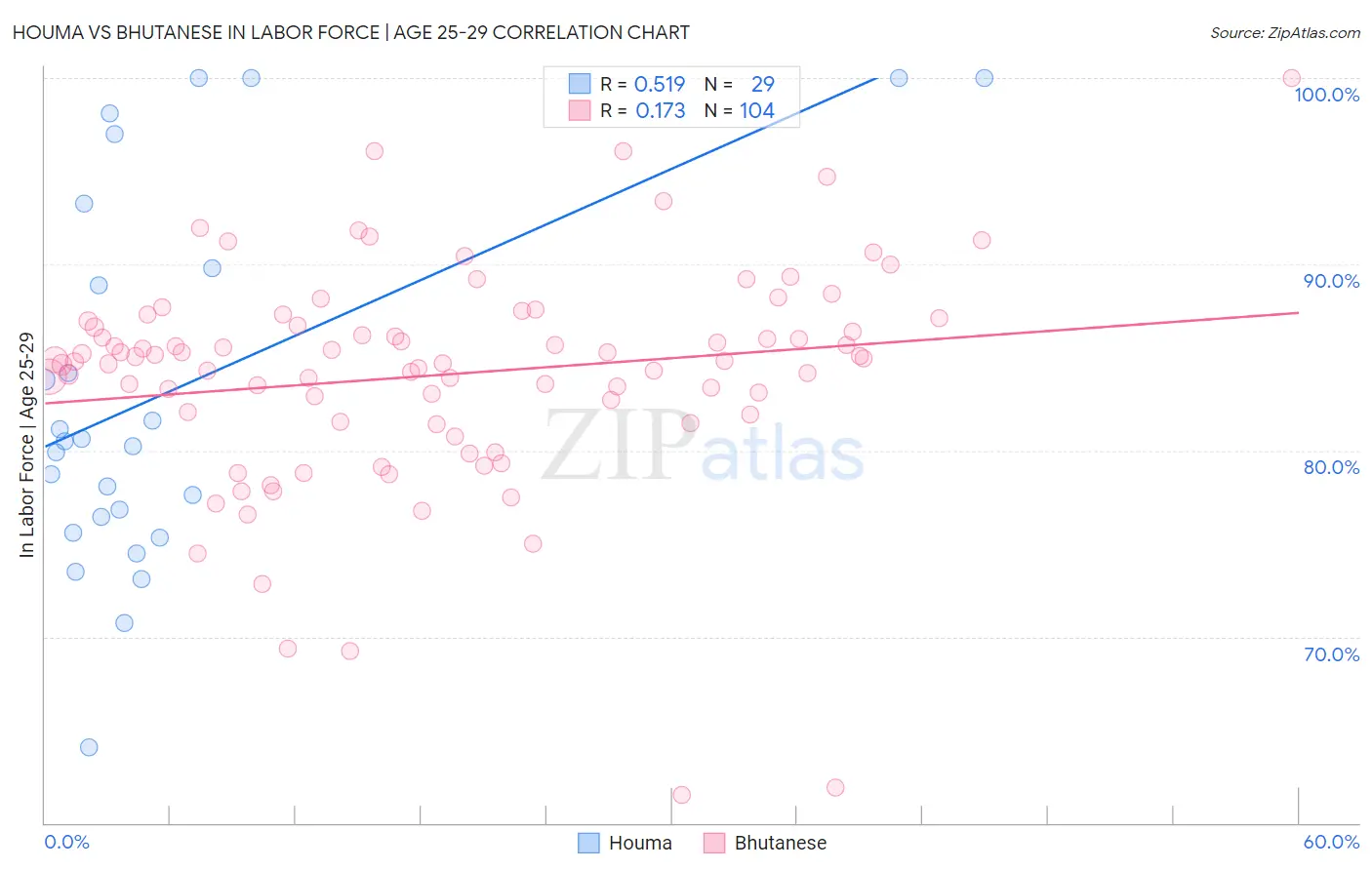 Houma vs Bhutanese In Labor Force | Age 25-29
