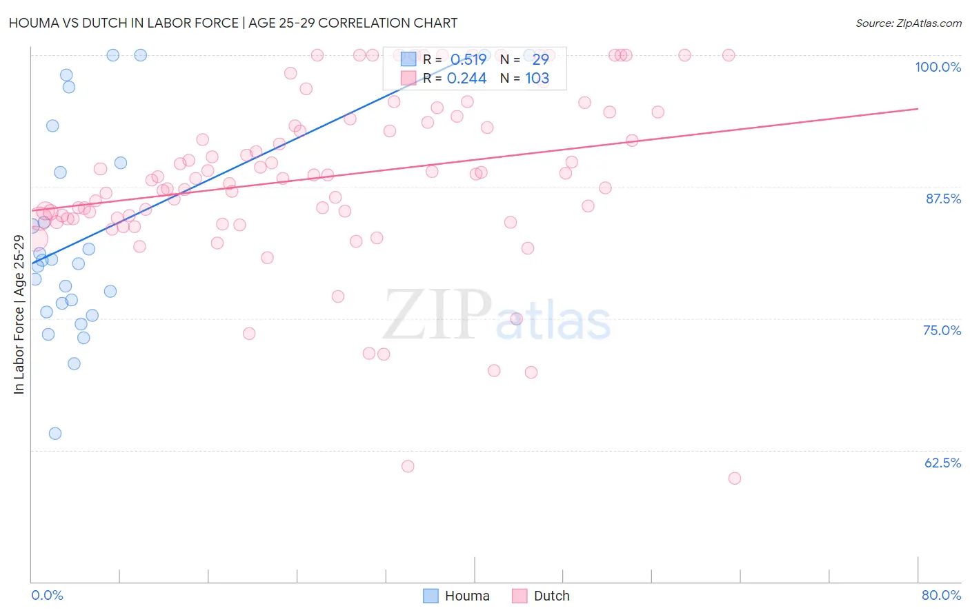 Houma vs Dutch In Labor Force | Age 25-29