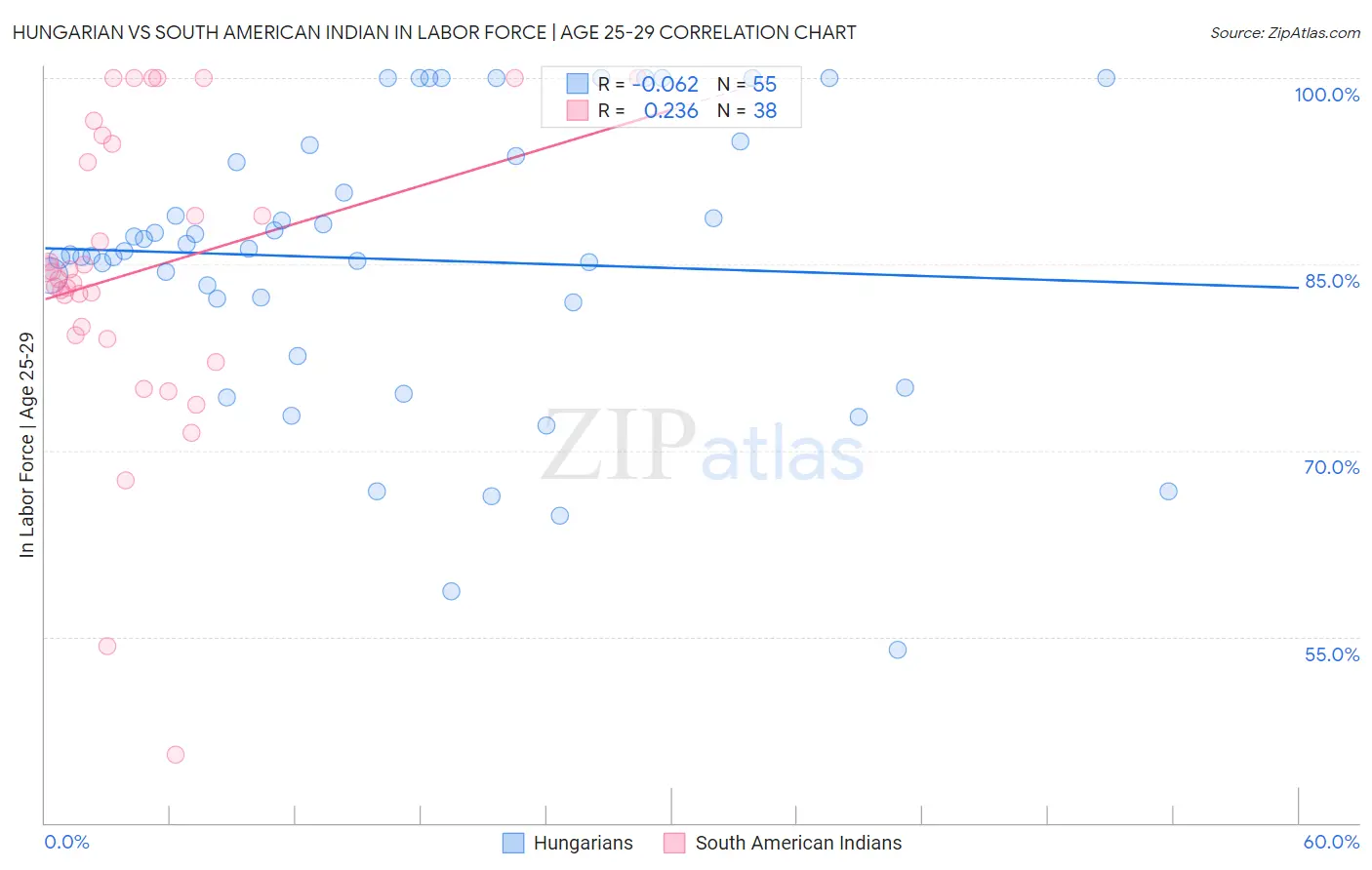 Hungarian vs South American Indian In Labor Force | Age 25-29