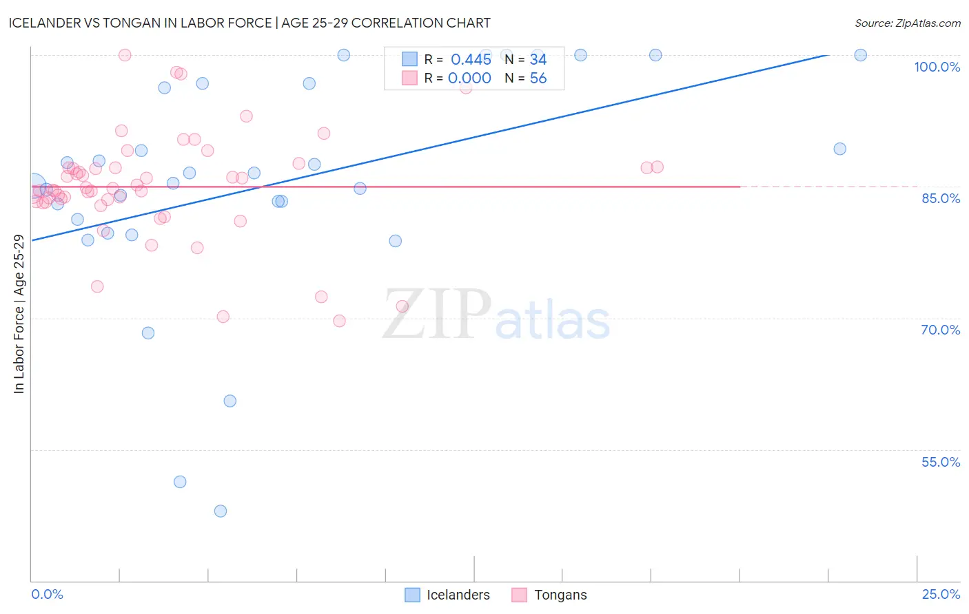 Icelander vs Tongan In Labor Force | Age 25-29