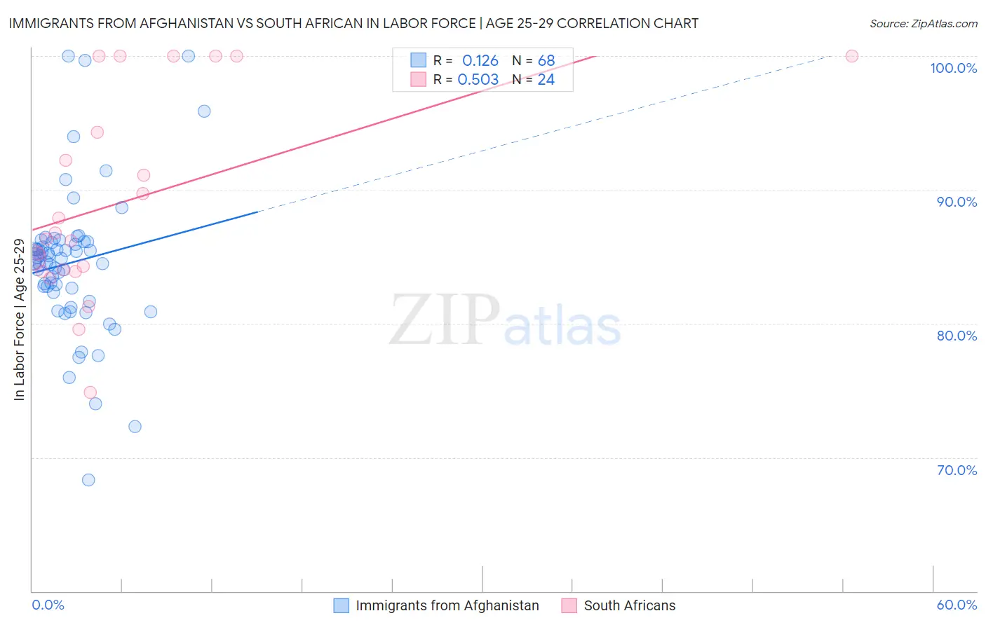 Immigrants from Afghanistan vs South African In Labor Force | Age 25-29