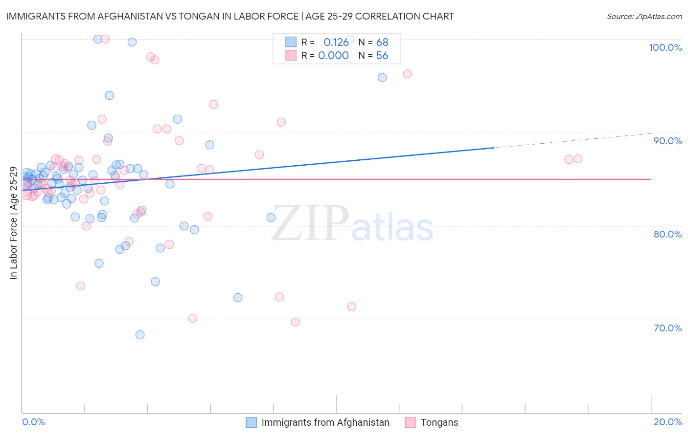 Immigrants from Afghanistan vs Tongan In Labor Force | Age 25-29