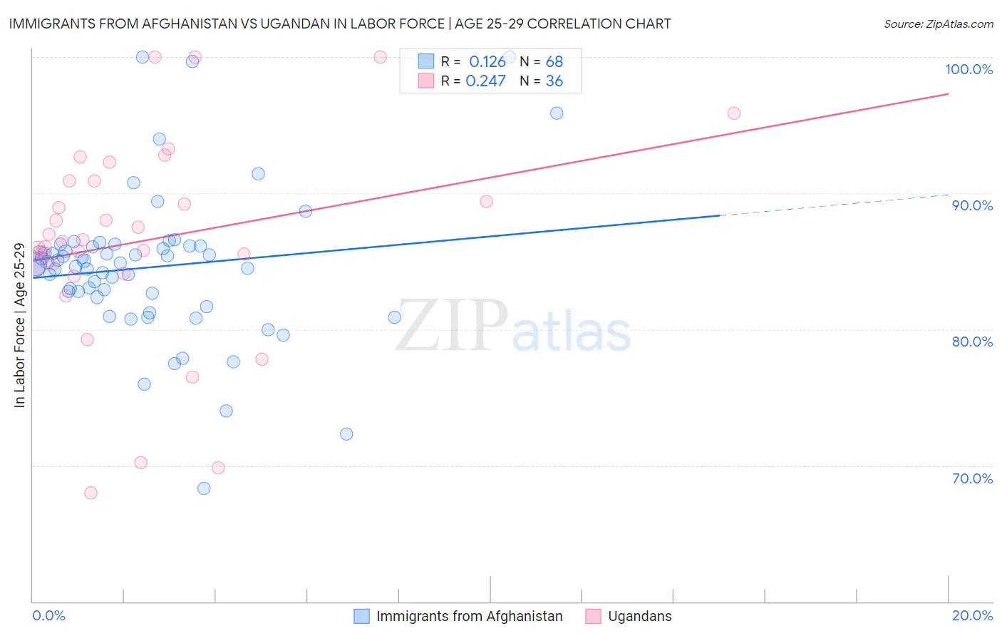 Immigrants from Afghanistan vs Ugandan In Labor Force | Age 25-29