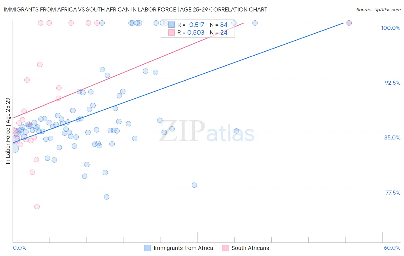 Immigrants from Africa vs South African In Labor Force | Age 25-29