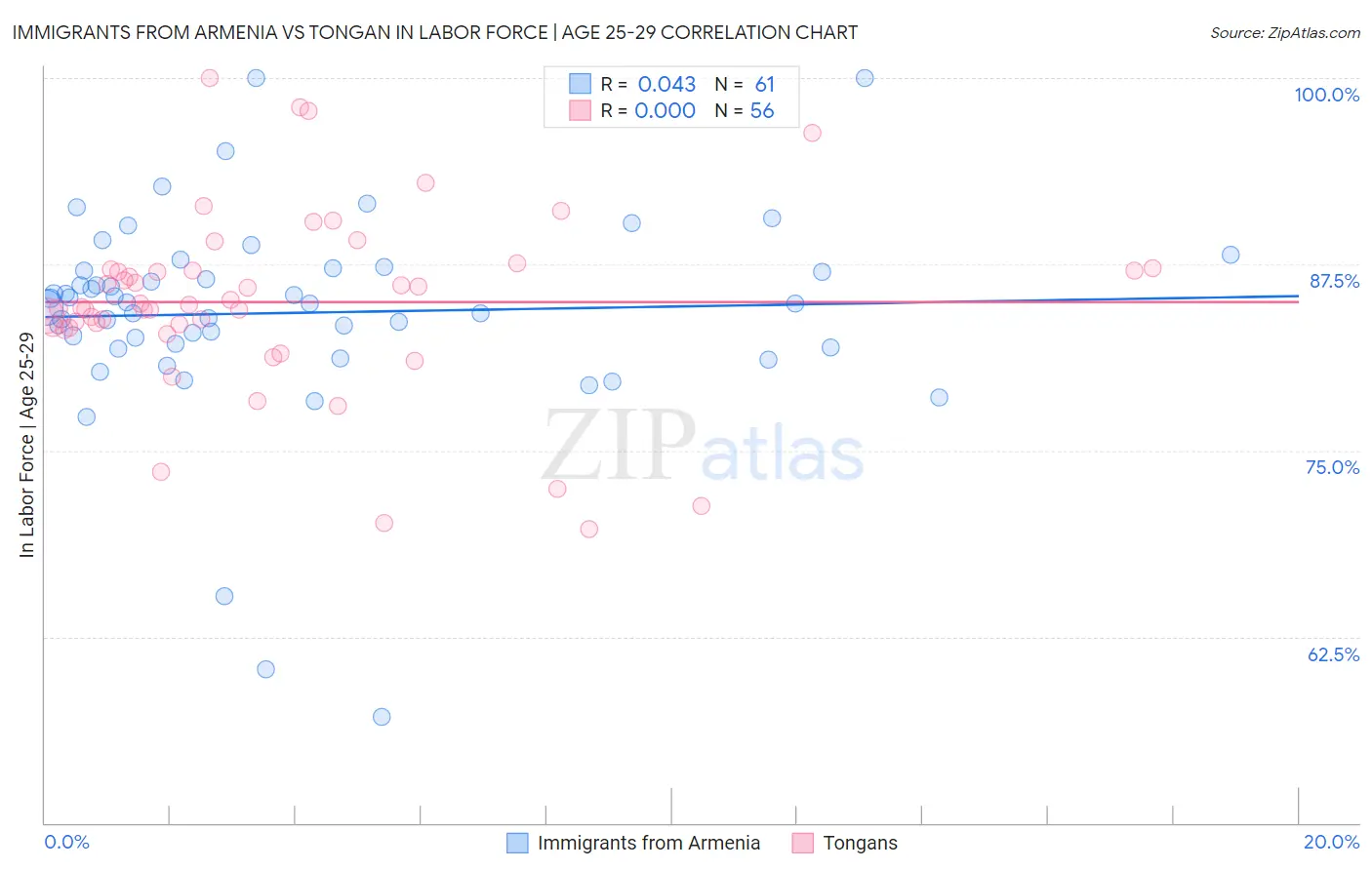 Immigrants from Armenia vs Tongan In Labor Force | Age 25-29