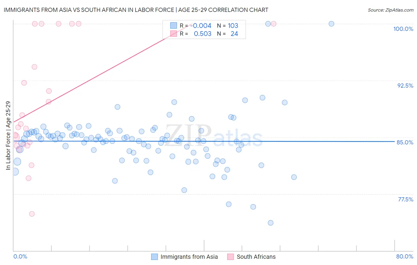 Immigrants from Asia vs South African In Labor Force | Age 25-29