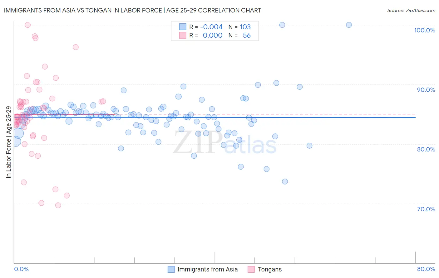 Immigrants from Asia vs Tongan In Labor Force | Age 25-29
