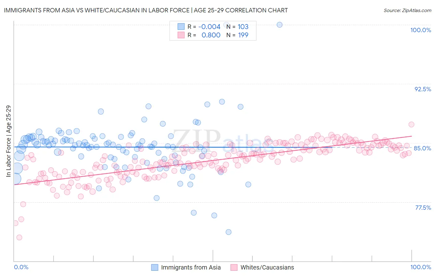 Immigrants from Asia vs White/Caucasian In Labor Force | Age 25-29