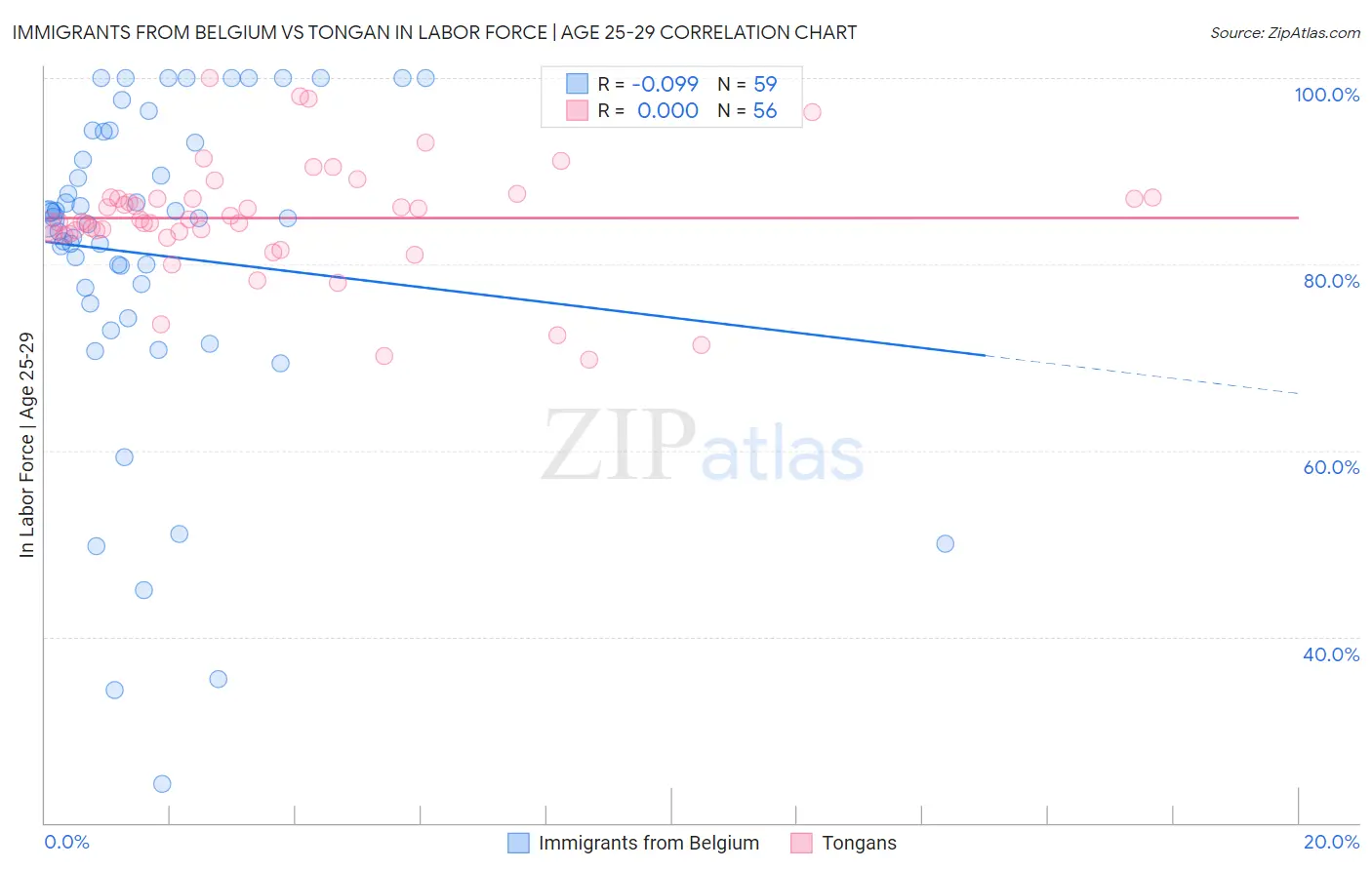Immigrants from Belgium vs Tongan In Labor Force | Age 25-29