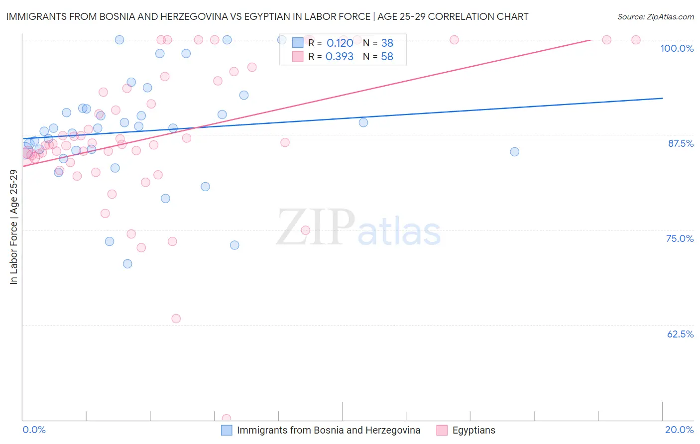 Immigrants from Bosnia and Herzegovina vs Egyptian In Labor Force | Age 25-29