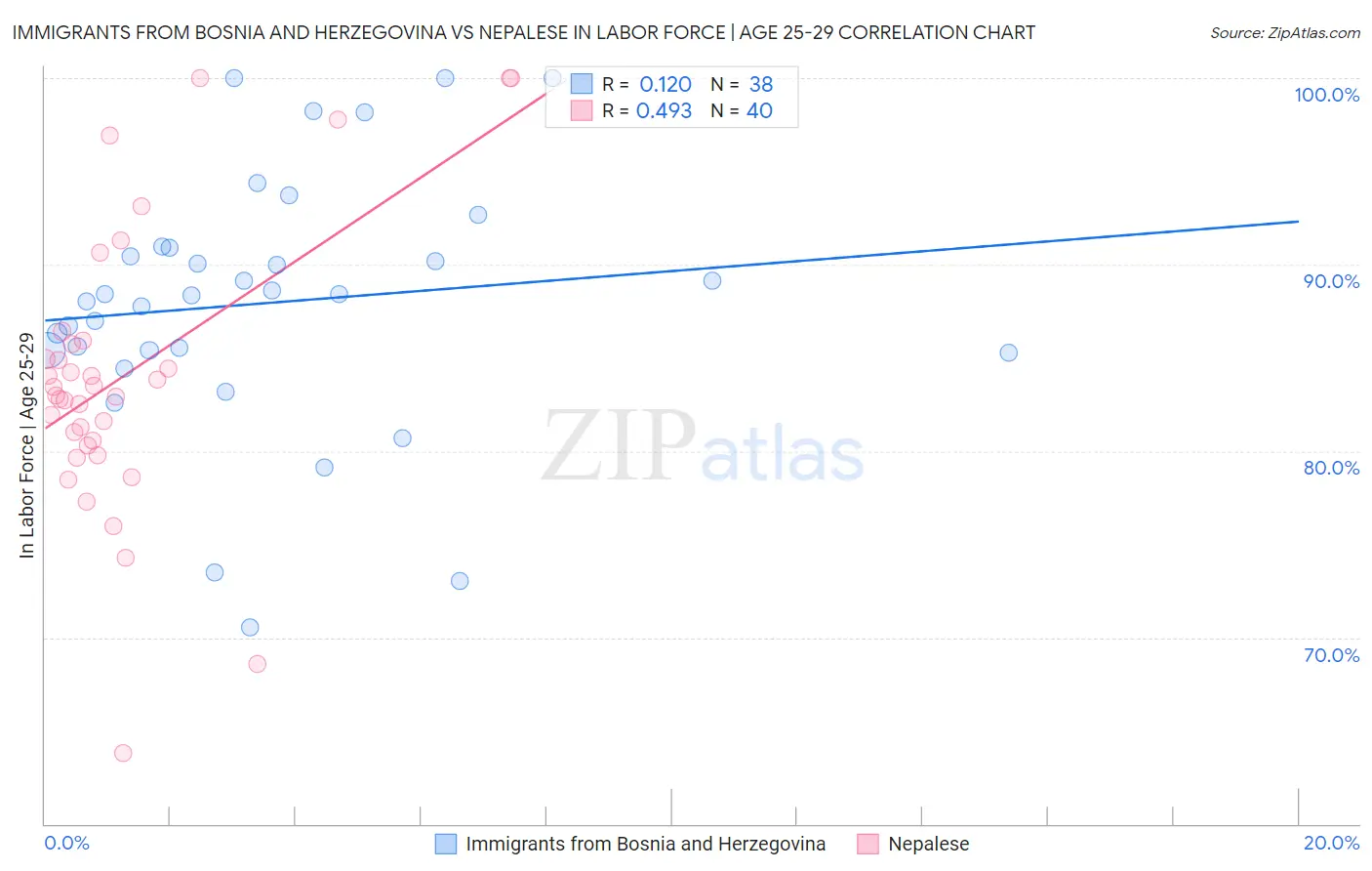 Immigrants from Bosnia and Herzegovina vs Nepalese In Labor Force | Age 25-29