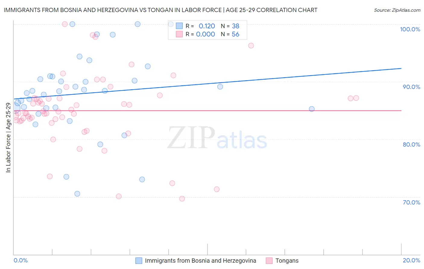 Immigrants from Bosnia and Herzegovina vs Tongan In Labor Force | Age 25-29