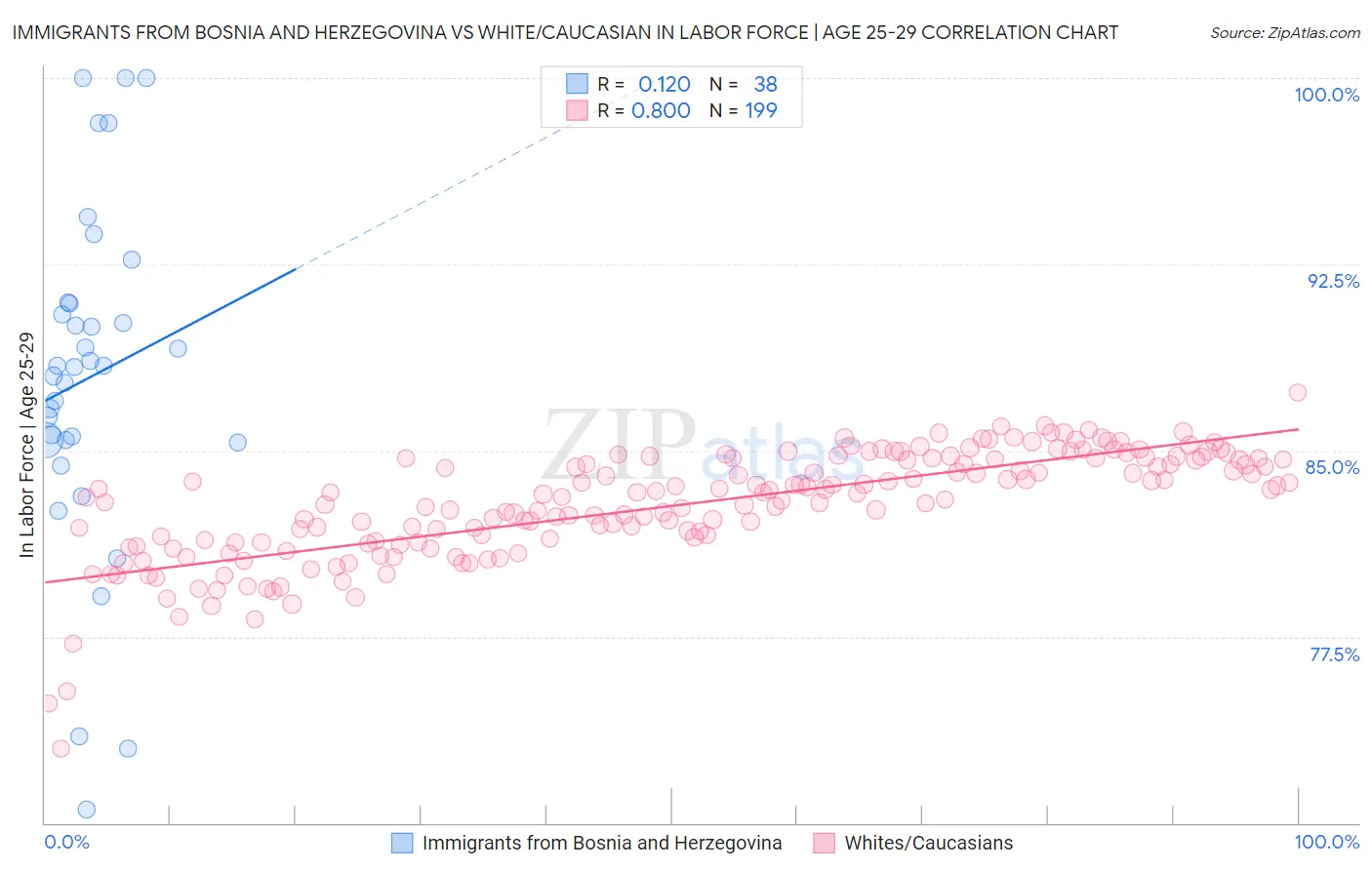 Immigrants from Bosnia and Herzegovina vs White/Caucasian In Labor Force | Age 25-29