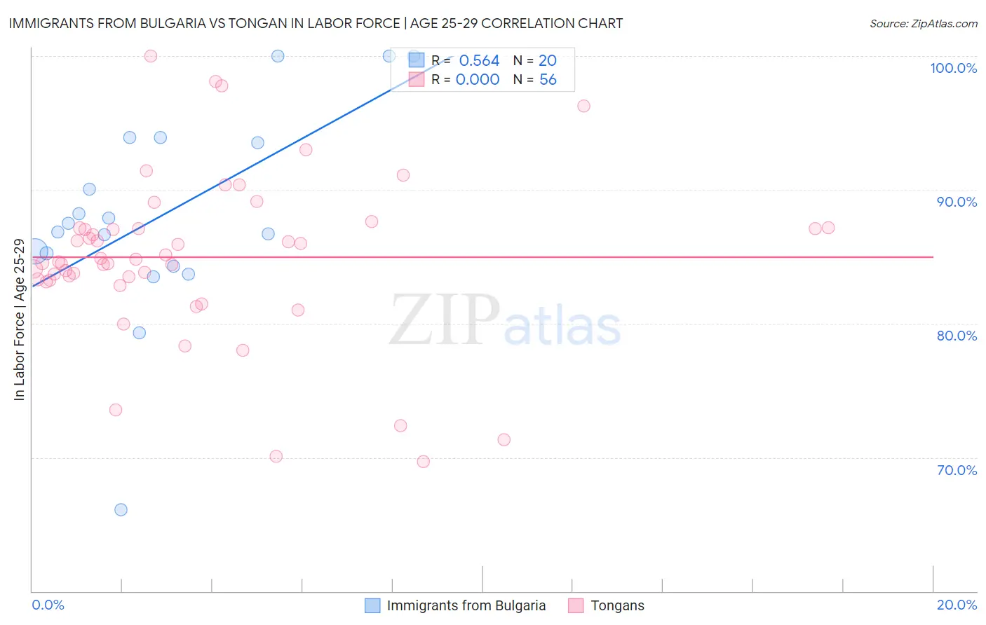 Immigrants from Bulgaria vs Tongan In Labor Force | Age 25-29
