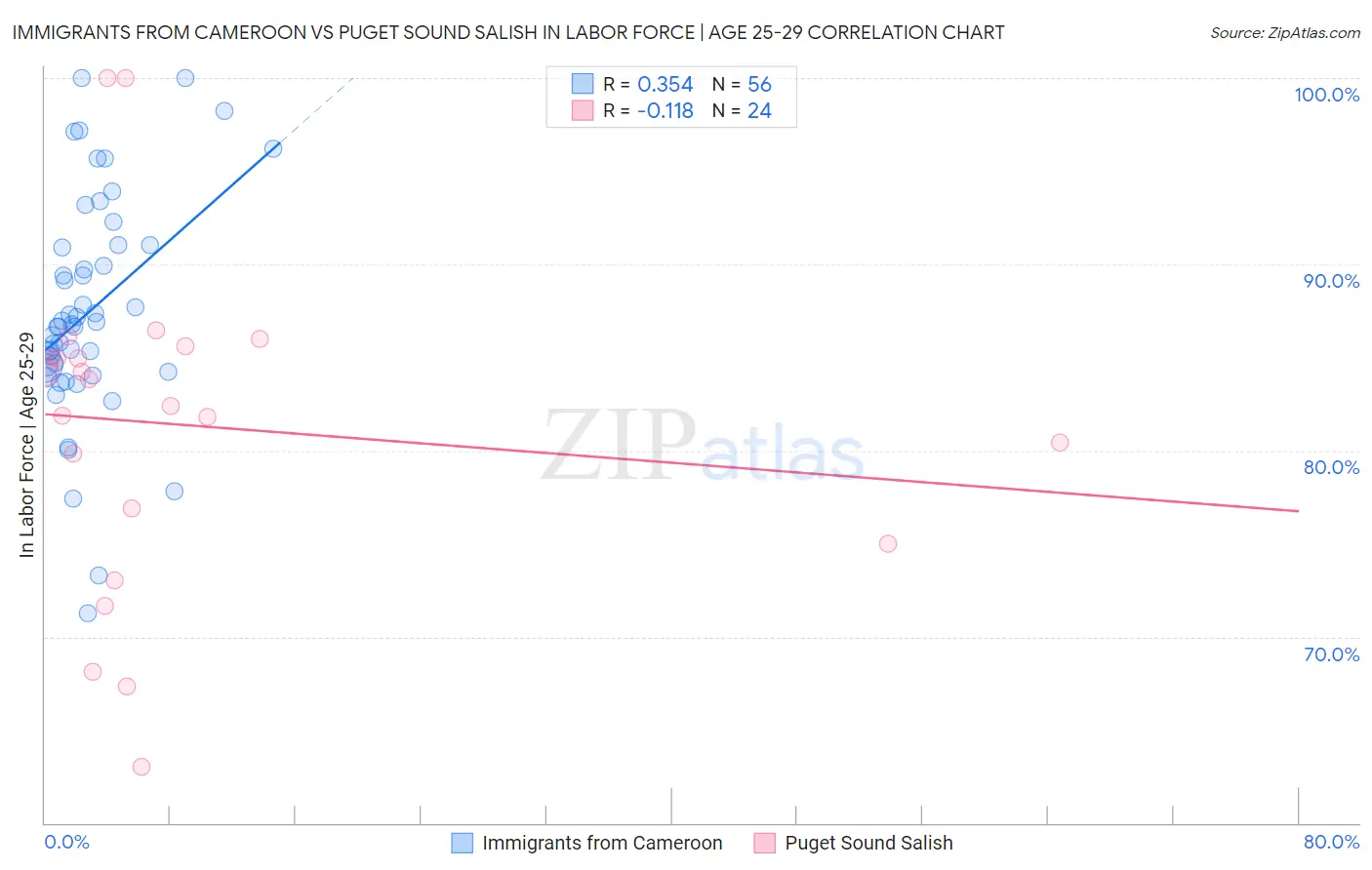 Immigrants from Cameroon vs Puget Sound Salish In Labor Force | Age 25-29