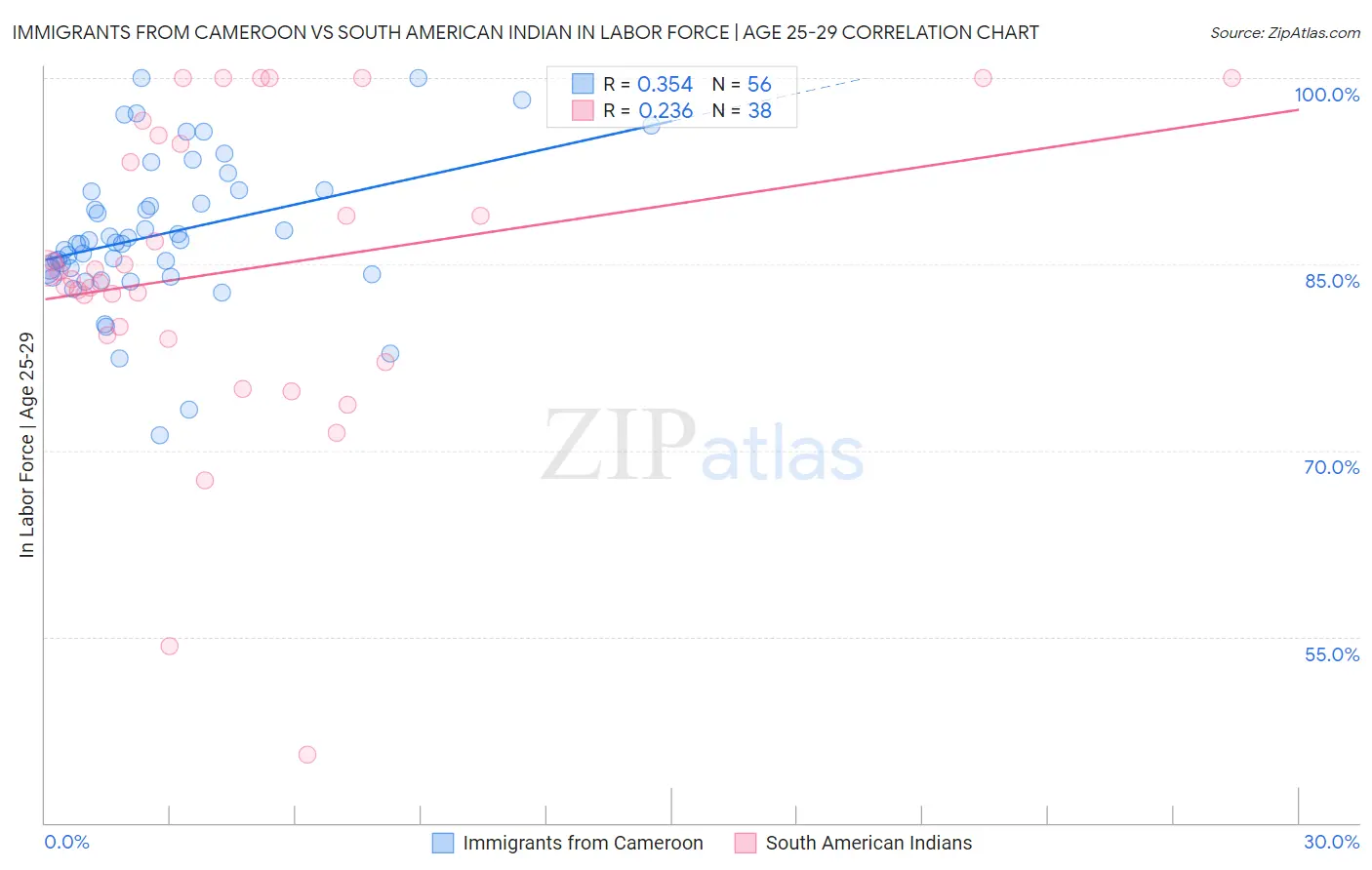 Immigrants from Cameroon vs South American Indian In Labor Force | Age 25-29