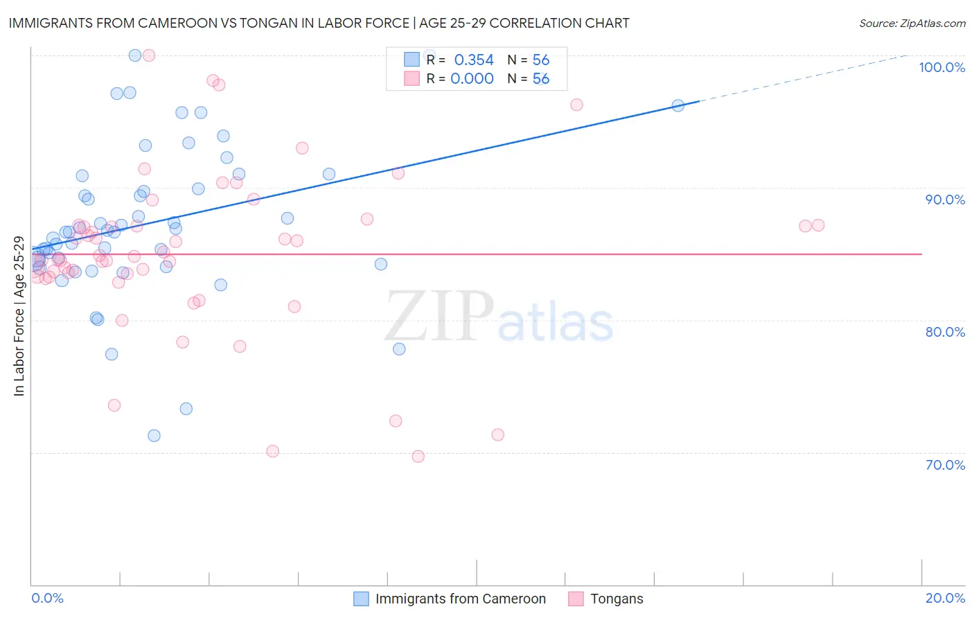 Immigrants from Cameroon vs Tongan In Labor Force | Age 25-29