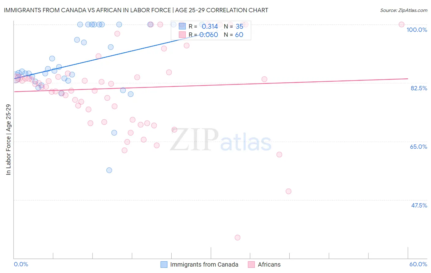 Immigrants from Canada vs African In Labor Force | Age 25-29
