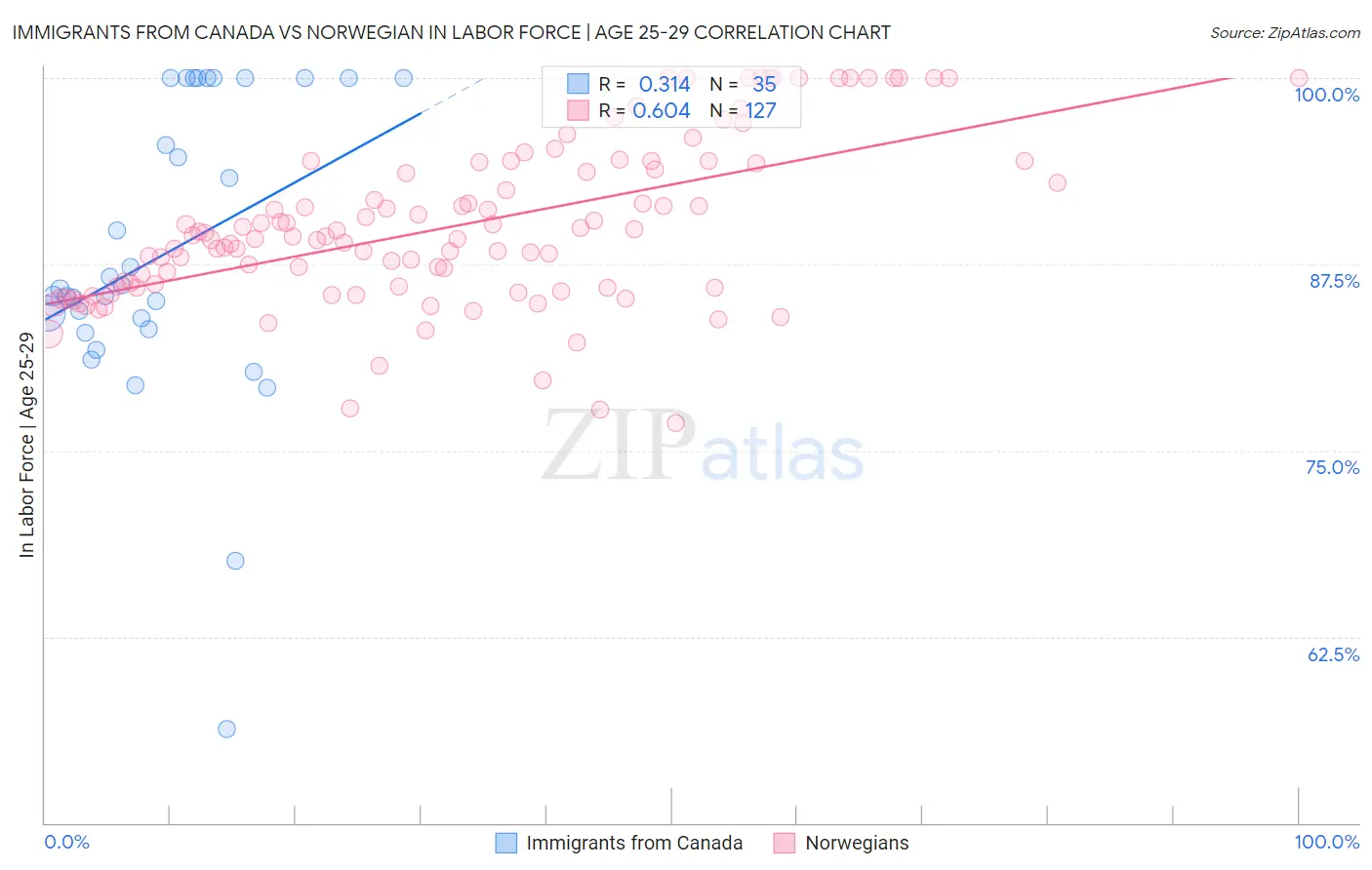 Immigrants from Canada vs Norwegian In Labor Force | Age 25-29