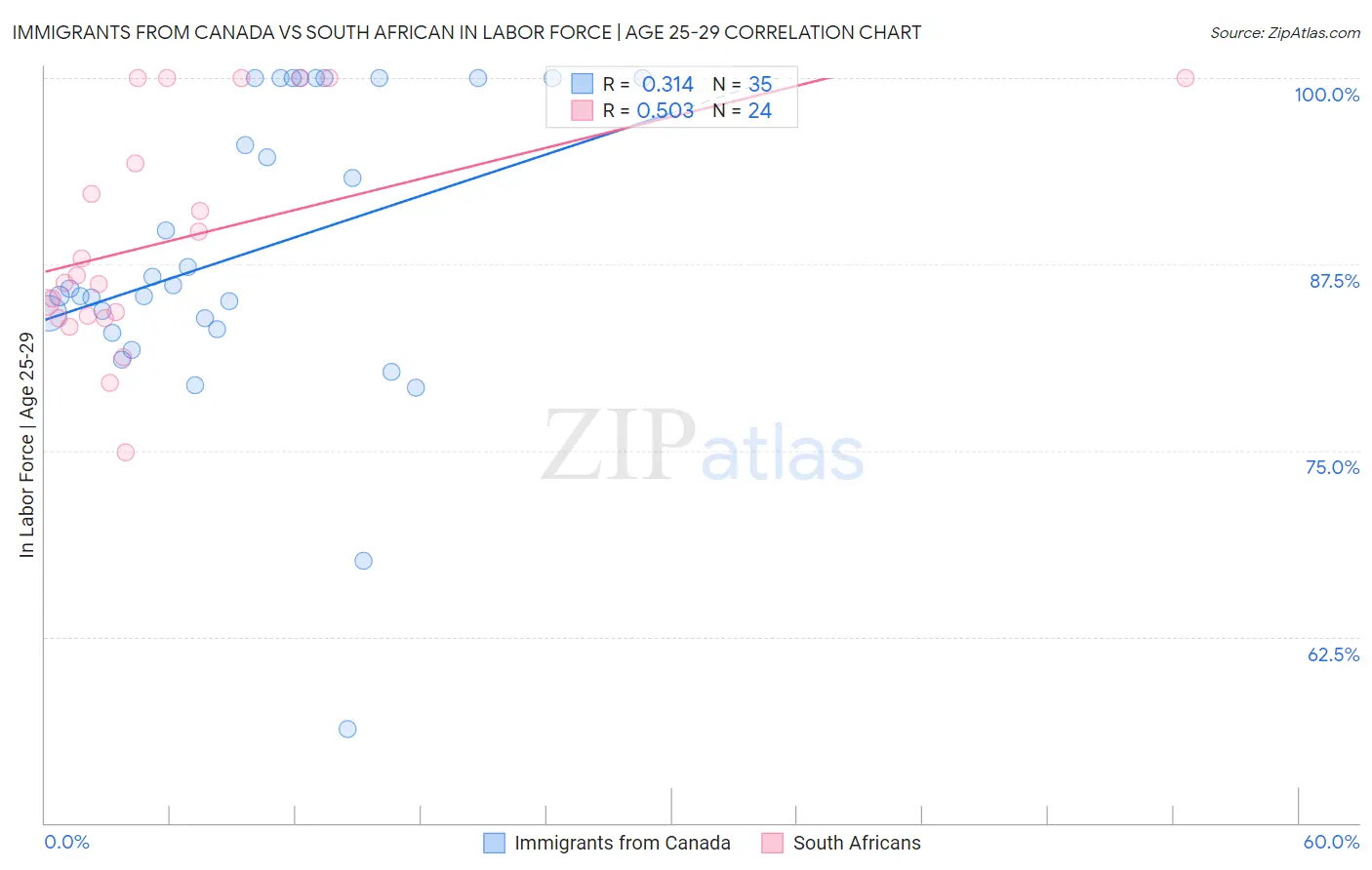 Immigrants from Canada vs South African In Labor Force | Age 25-29