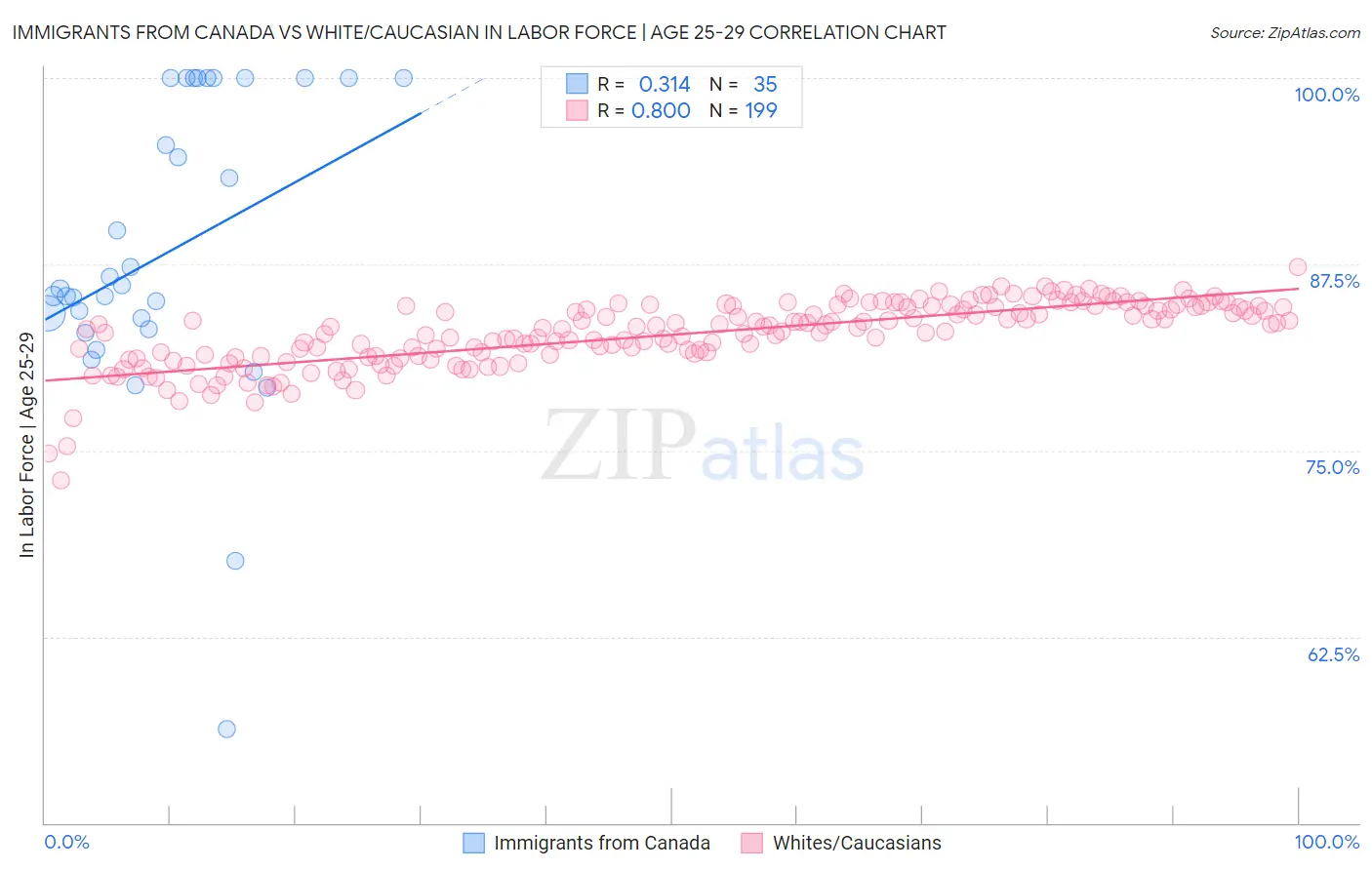 Immigrants from Canada vs White/Caucasian In Labor Force | Age 25-29