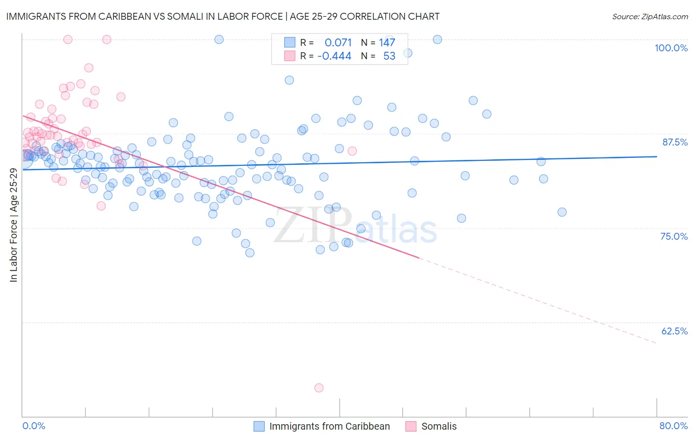 Immigrants from Caribbean vs Somali In Labor Force | Age 25-29