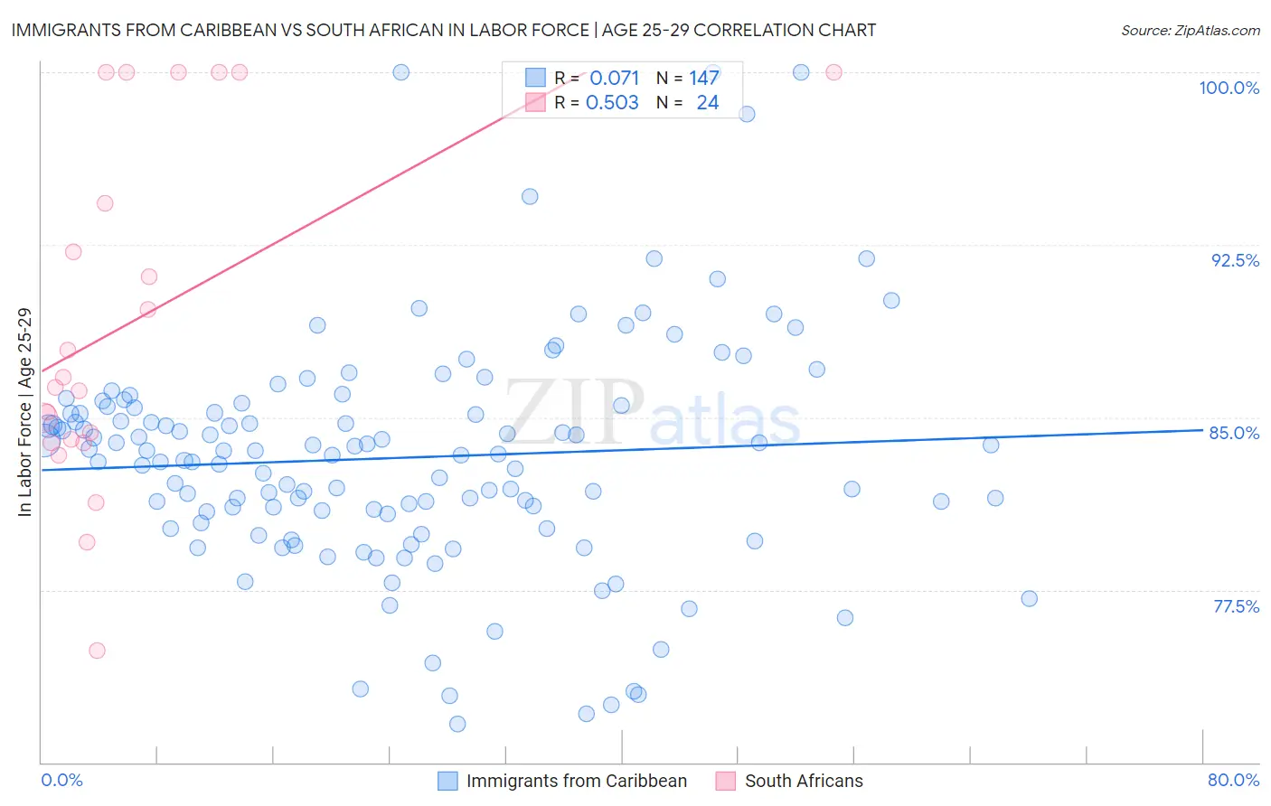 Immigrants from Caribbean vs South African In Labor Force | Age 25-29