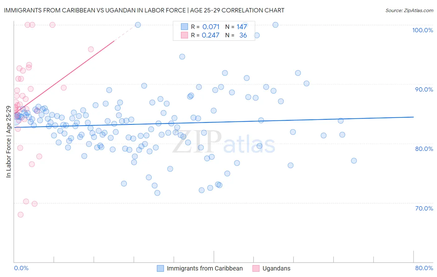 Immigrants from Caribbean vs Ugandan In Labor Force | Age 25-29