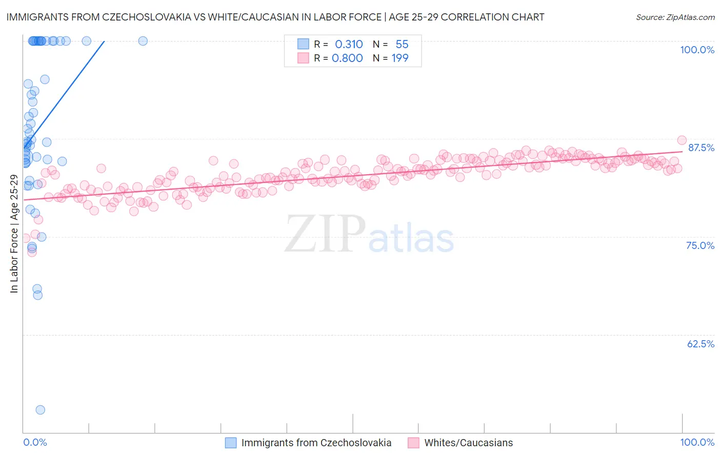 Immigrants from Czechoslovakia vs White/Caucasian In Labor Force | Age 25-29