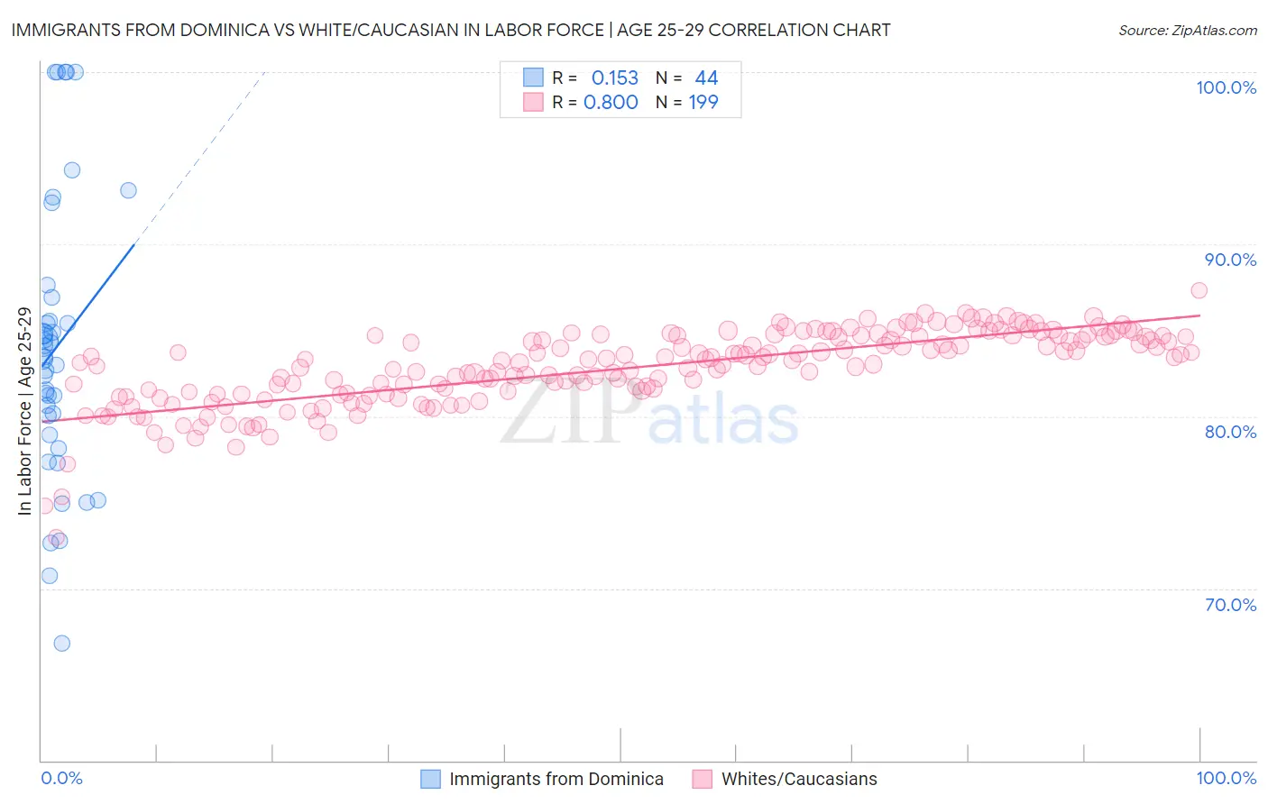 Immigrants from Dominica vs White/Caucasian In Labor Force | Age 25-29