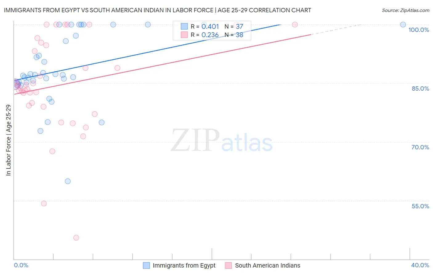 Immigrants from Egypt vs South American Indian In Labor Force | Age 25-29