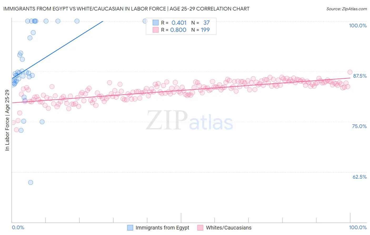 Immigrants from Egypt vs White/Caucasian In Labor Force | Age 25-29