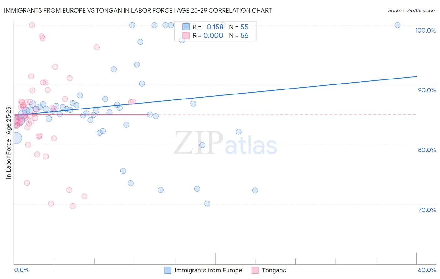 Immigrants from Europe vs Tongan In Labor Force | Age 25-29