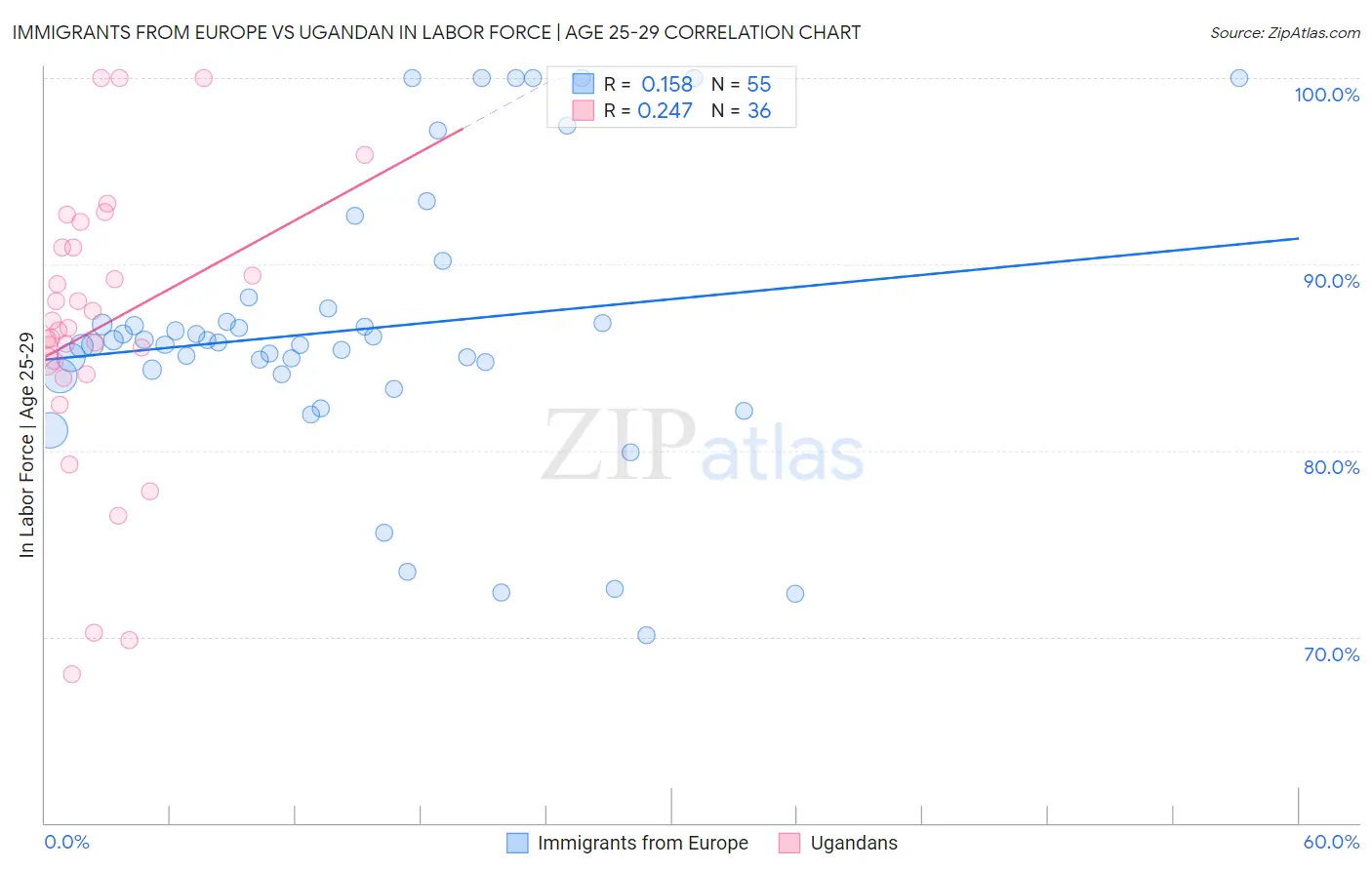 Immigrants from Europe vs Ugandan In Labor Force | Age 25-29