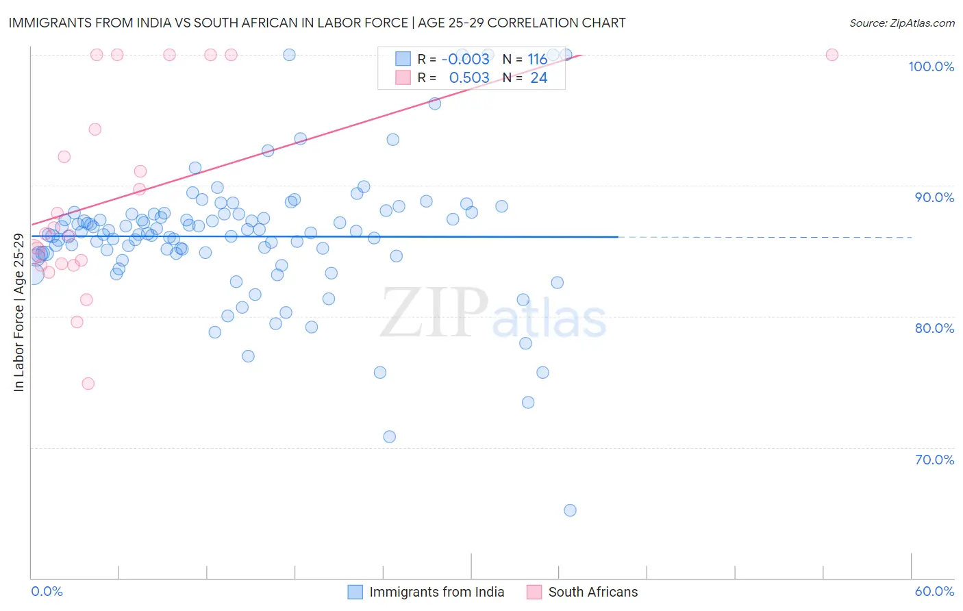 Immigrants from India vs South African In Labor Force | Age 25-29