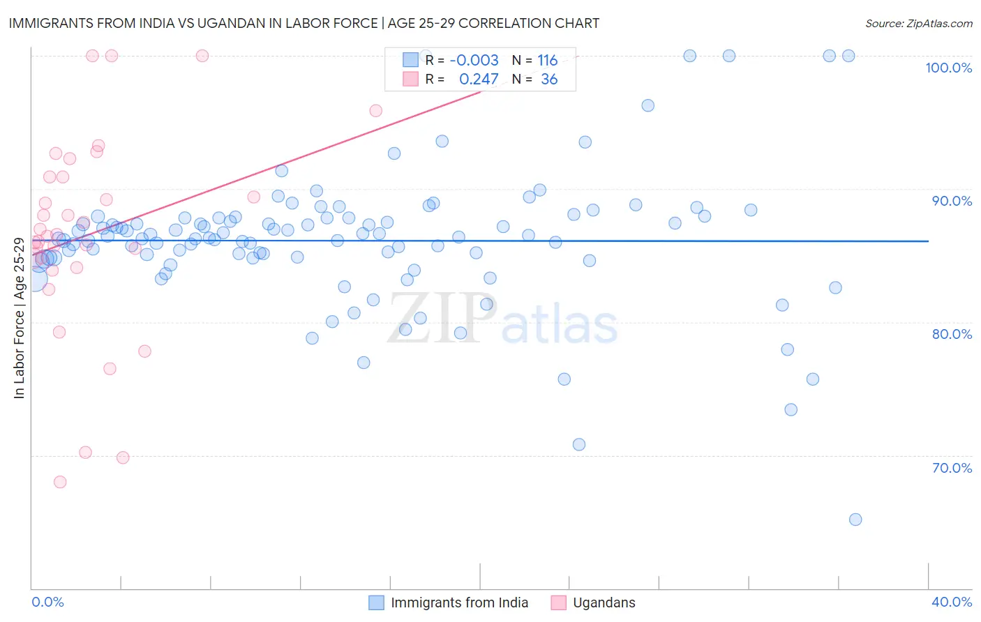 Immigrants from India vs Ugandan In Labor Force | Age 25-29