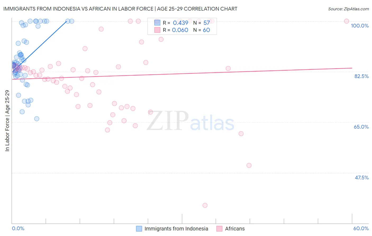 Immigrants from Indonesia vs African In Labor Force | Age 25-29