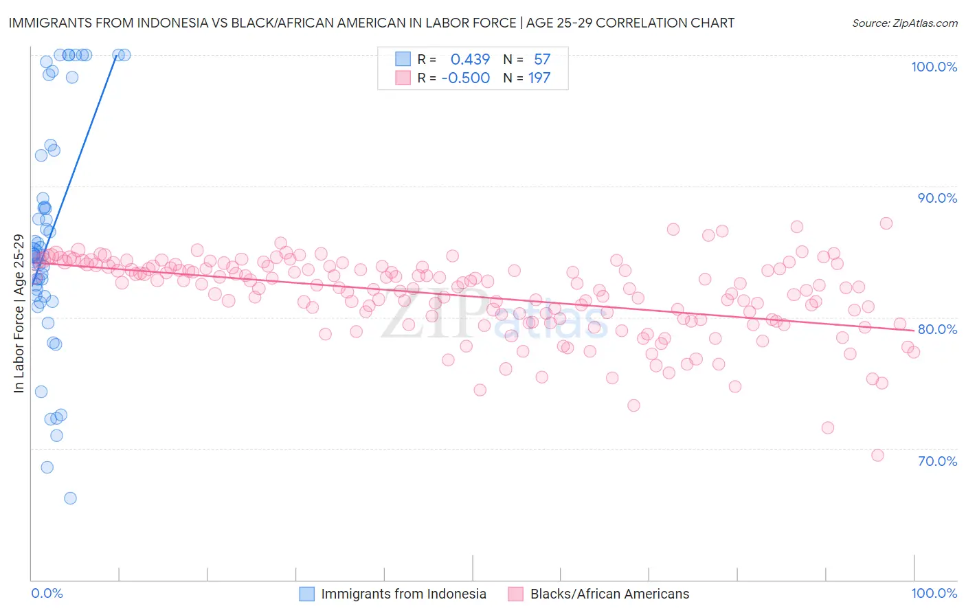 Immigrants from Indonesia vs Black/African American In Labor Force | Age 25-29